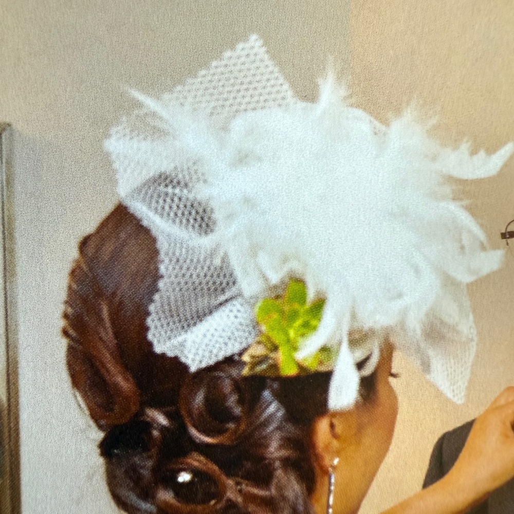 Vntage style Bridal Birdcage